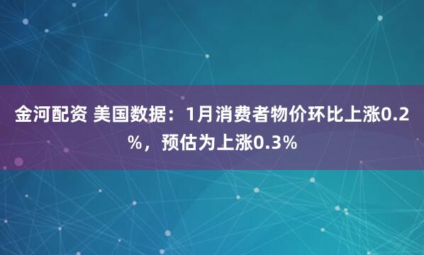 金河配资 美国数据：1月消费者物价环比上涨0.2%，预估为上涨0.3%