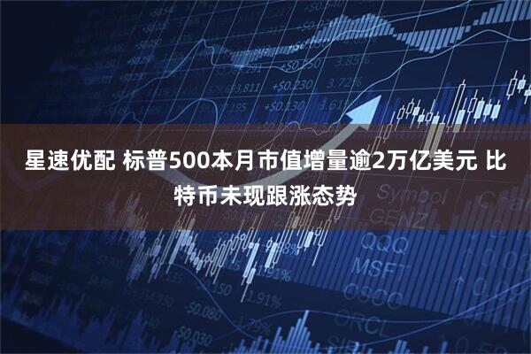 星速优配 标普500本月市值增量逾2万亿美元 比特币未现跟涨态势